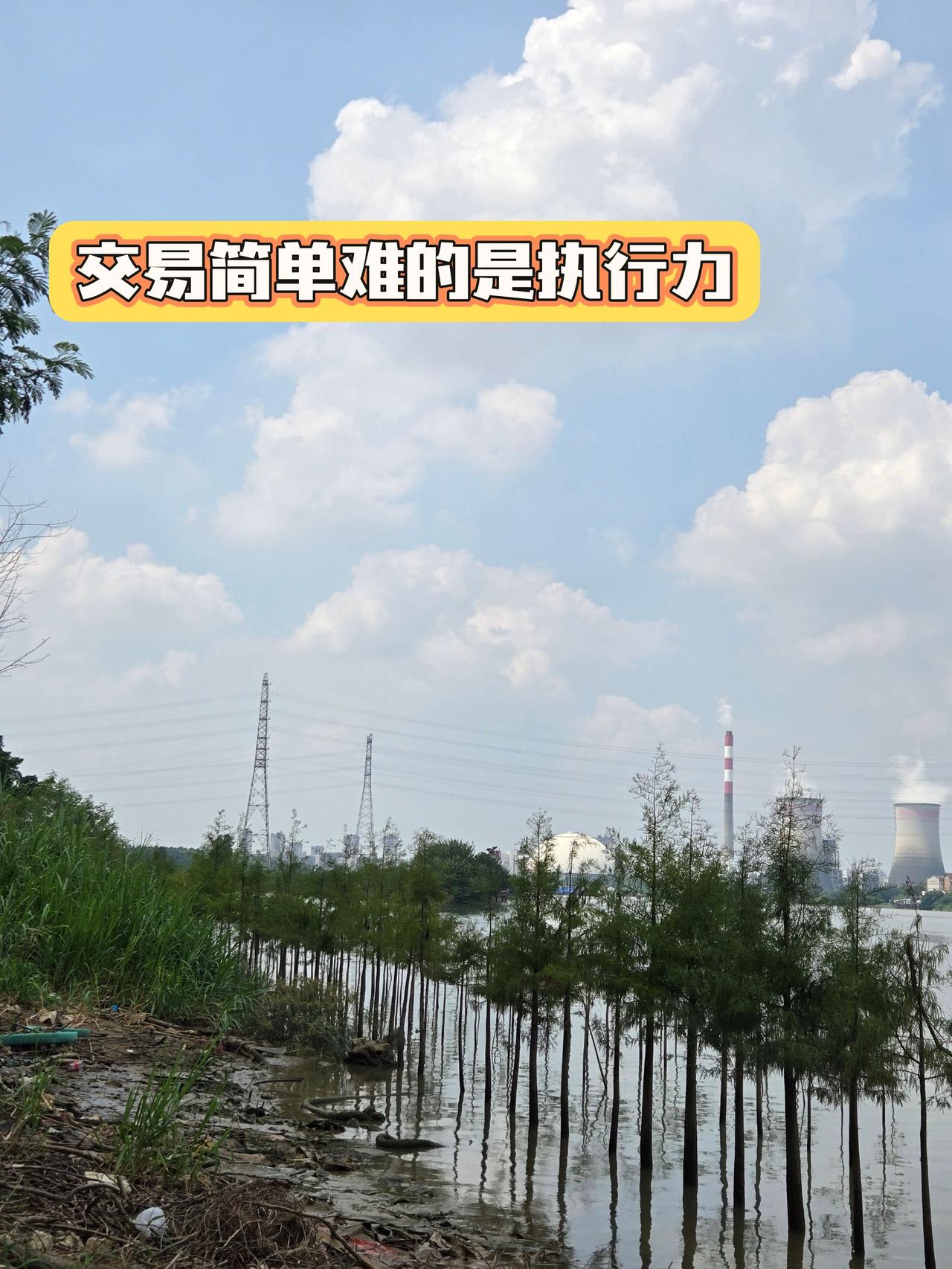 执行力 北京炒家