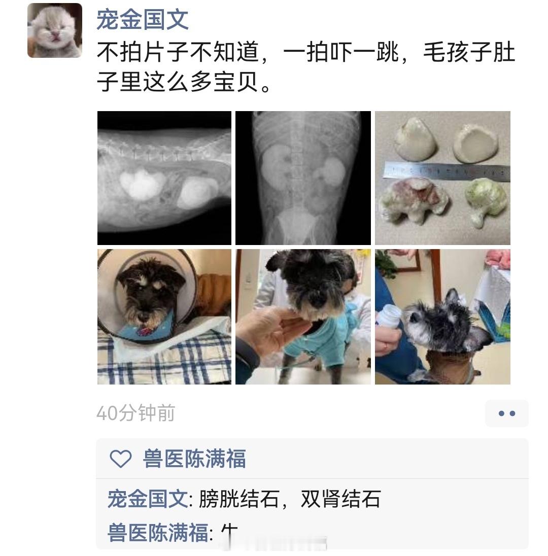 膀胱结石，双肾结石朋友圈看到的。  