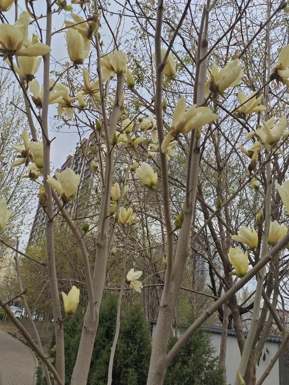 真是造孽啊！前几天侄女发现她老公出轨了一个女同事，俩人都好了5、6年了，侄女和她