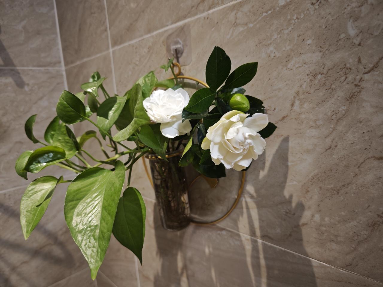 前天中午时分，我的腰突然就痛了起来。

刚开始还能忍受，但过不了一会儿，那痛感就