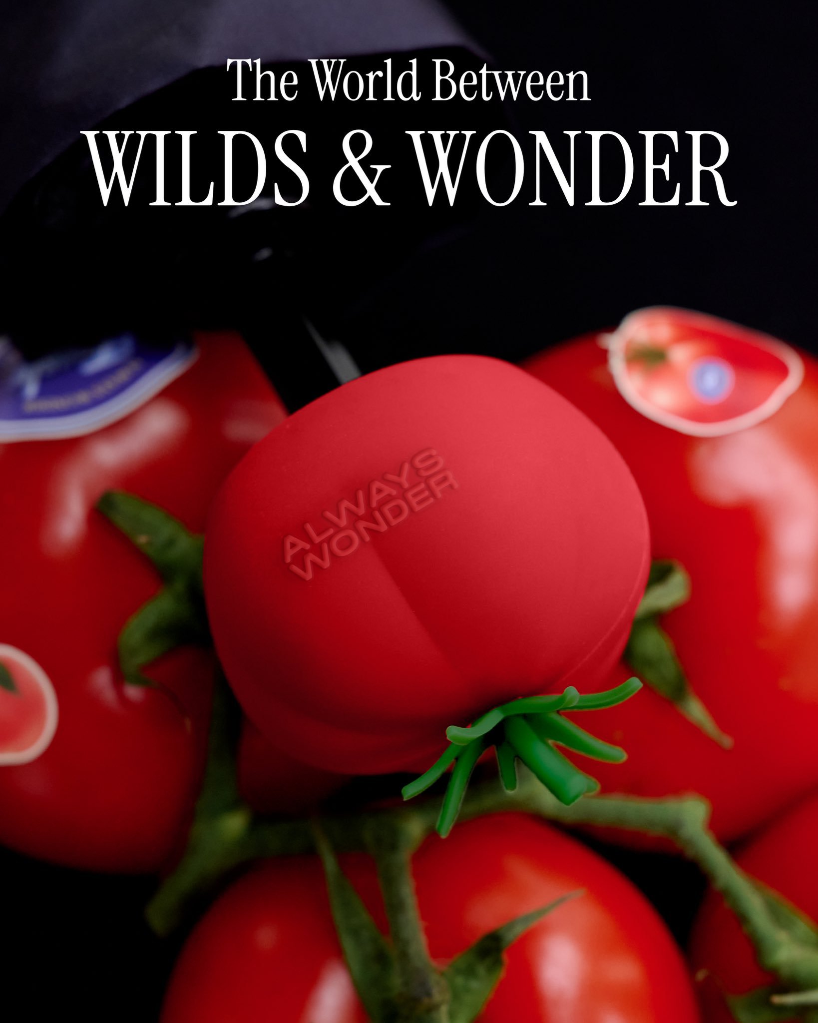 AlwaysWonder更新“Something fruity is comin