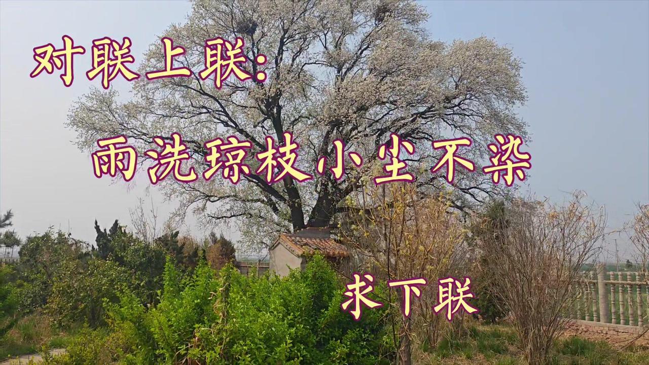谁来接下这人间绝句？无论是对仗工整的雅致对句，还是意境延伸的妙语，都洗耳恭听！让