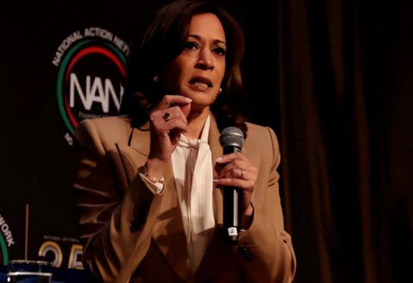 民主党这下热闹了！谁也没料到，上次总统大选输得干脆利落的哈里斯，居然没打算就此淡