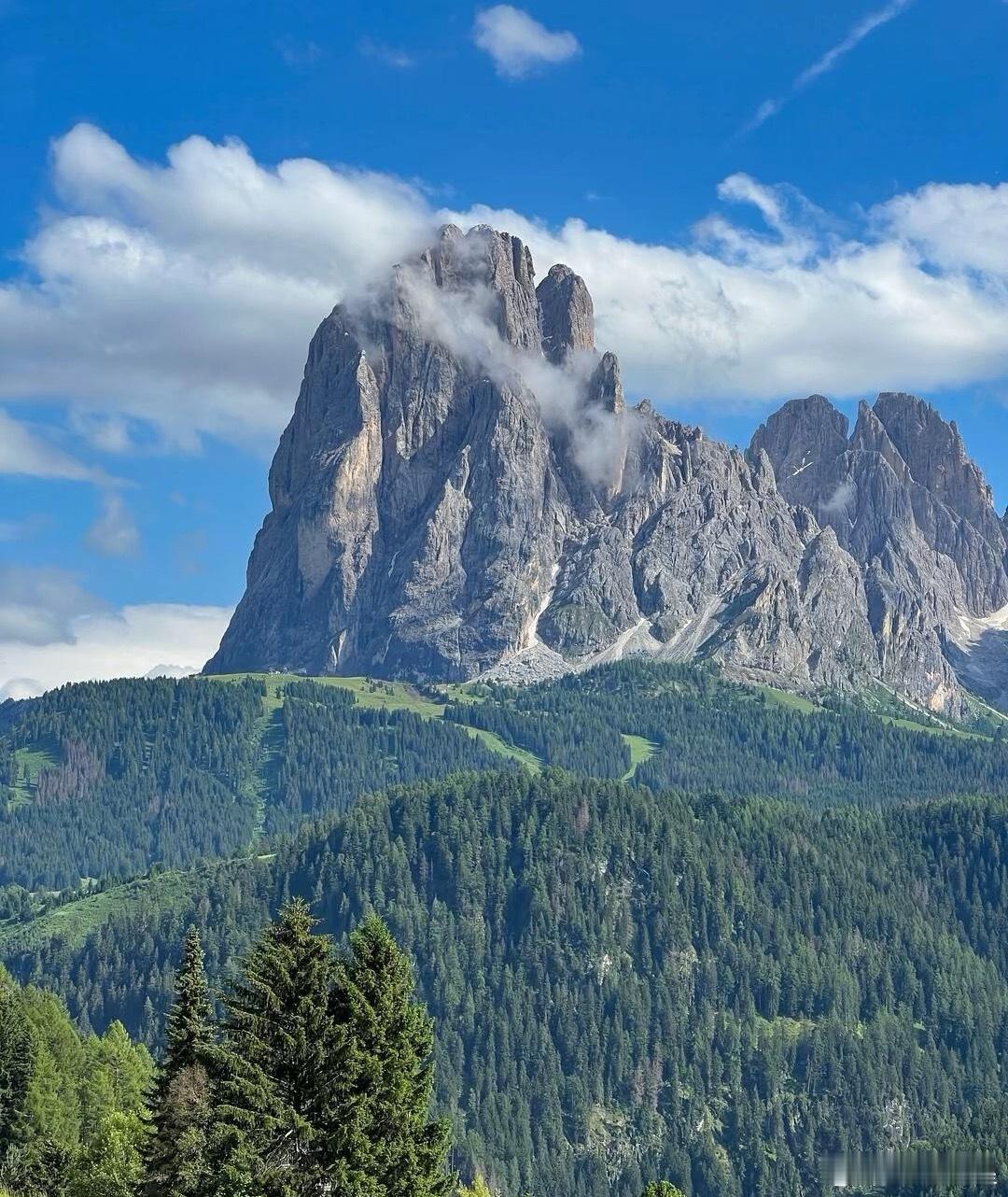 微博年度待改编ip评选pick你心中的改编潜力王 一个人，也要活成一个春天黄昏时