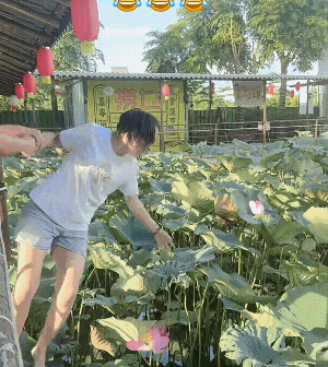 应该是私人会所，主人允许摘的吧!
