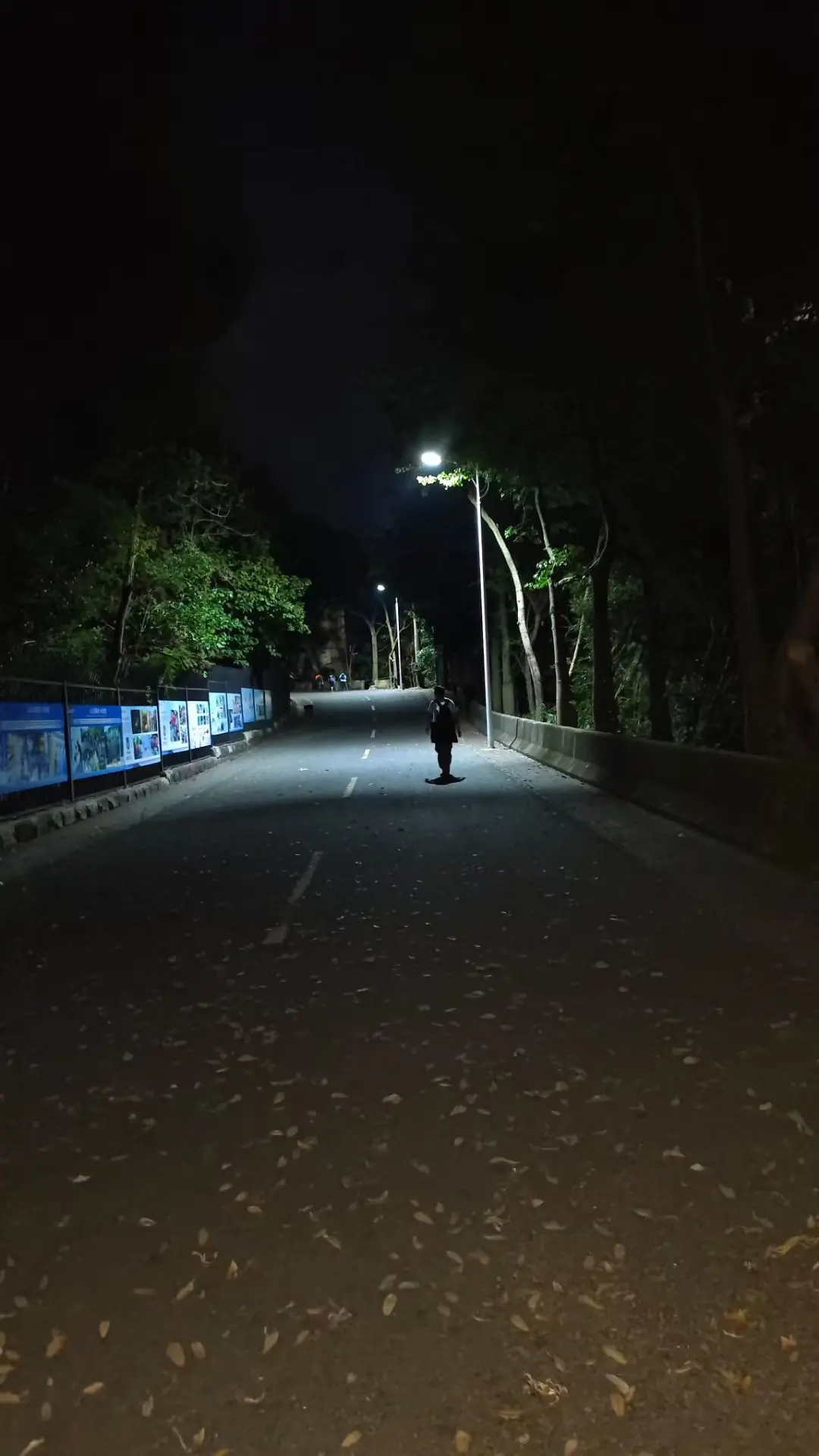 夜归人的故事 夜空是黑色的 今夜月色真美 治愈系夜晚 晚上吹陆风
