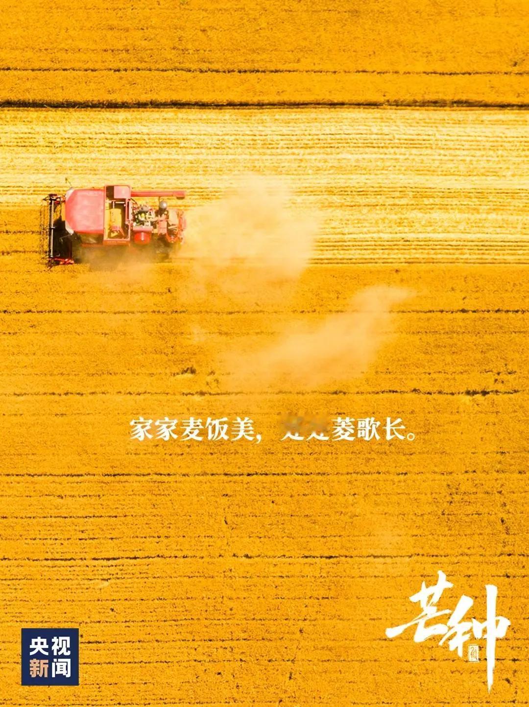 碎碎念
 芒种。在正好的时间，恰好的节气，做顺应自然的事情，付出热情和用心等待收