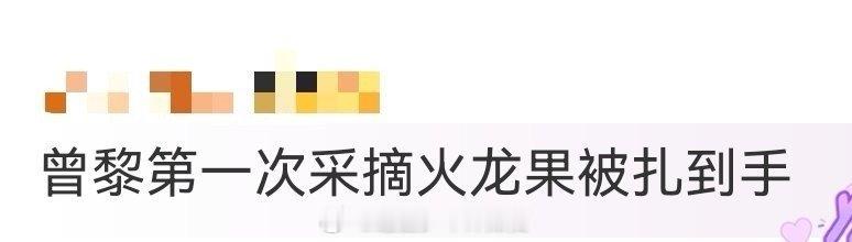 曾黎第一次采摘火龙果被扎到手 曾黎的田园课堂出现生动一幕：理论满分却在实践中被小