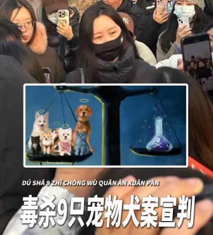 善恶终有报！北京小区毒狗案二审尘埃落定，投毒男子罪名成立被判 4 年，民事赔偿也