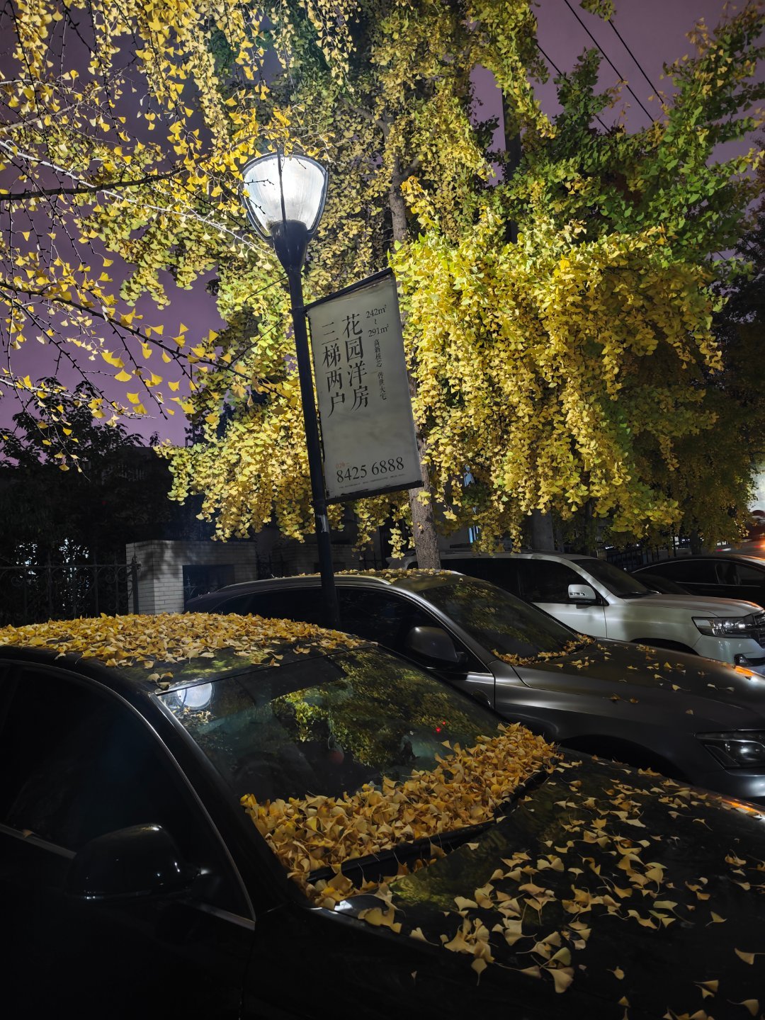 罗峰一招消灭6000宇宙尊者[裂开][裂开][裂开] ​​​