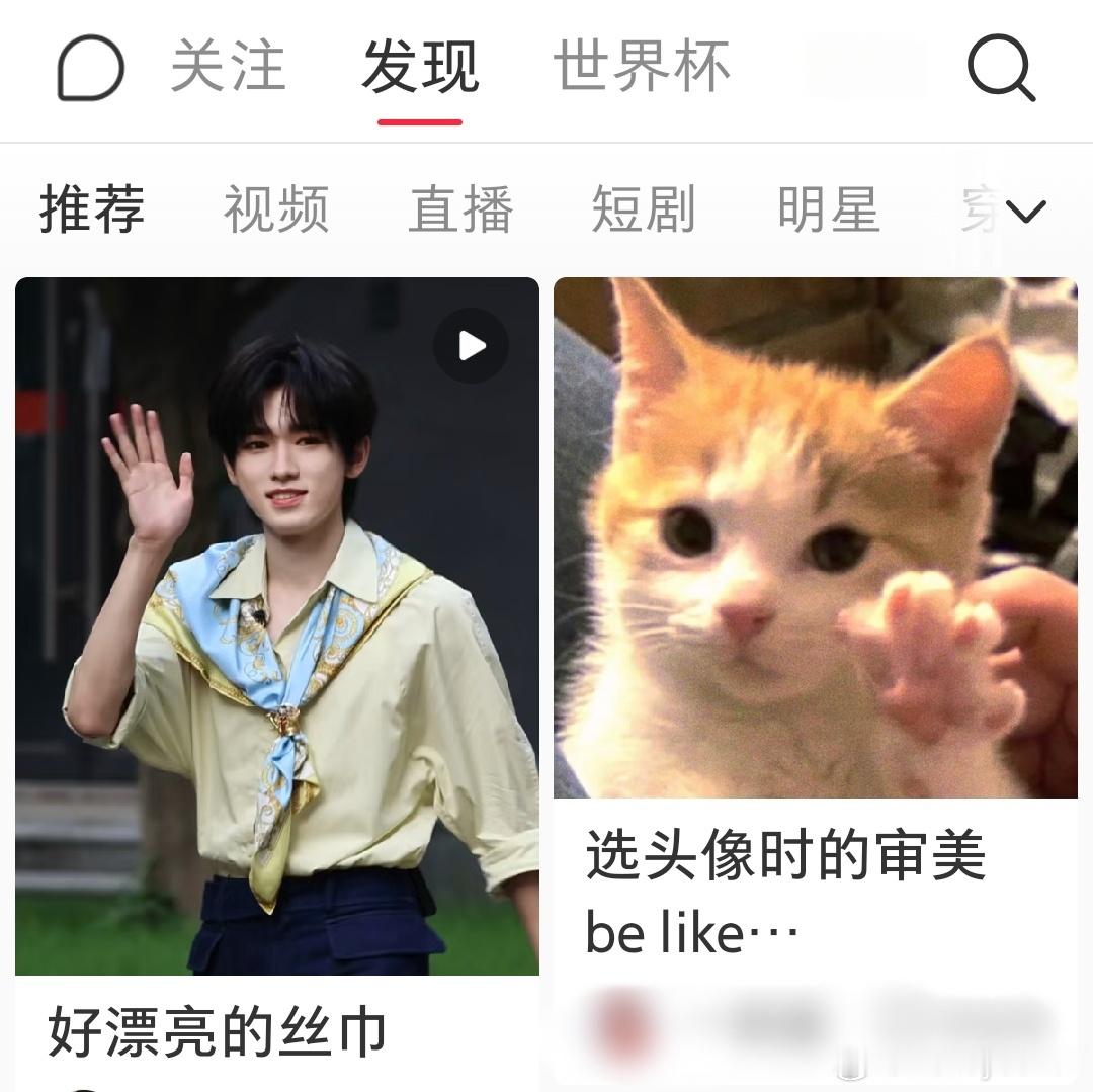 妈呀一点开被这个排版可爱懵了展示猫爪ฅ՞••՞ฅ 
