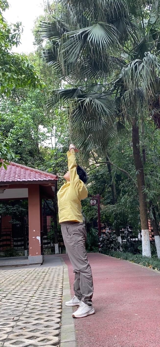 康复日记：阴天午后，再练八段锦，浅色系里的温柔舒展

2026年4月26日 星期