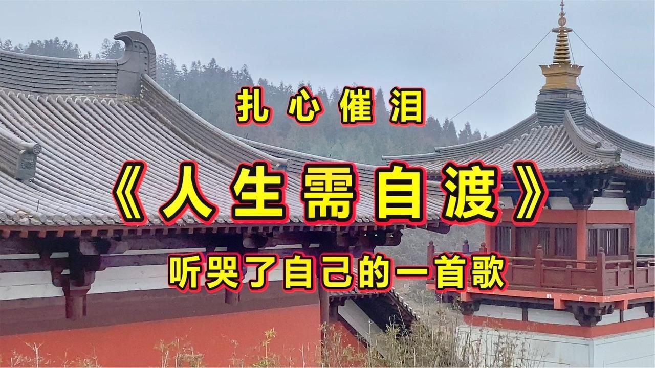 2022伤感情歌，旋律忧伤凄美，句句心酸催泪《人生需自渡》！