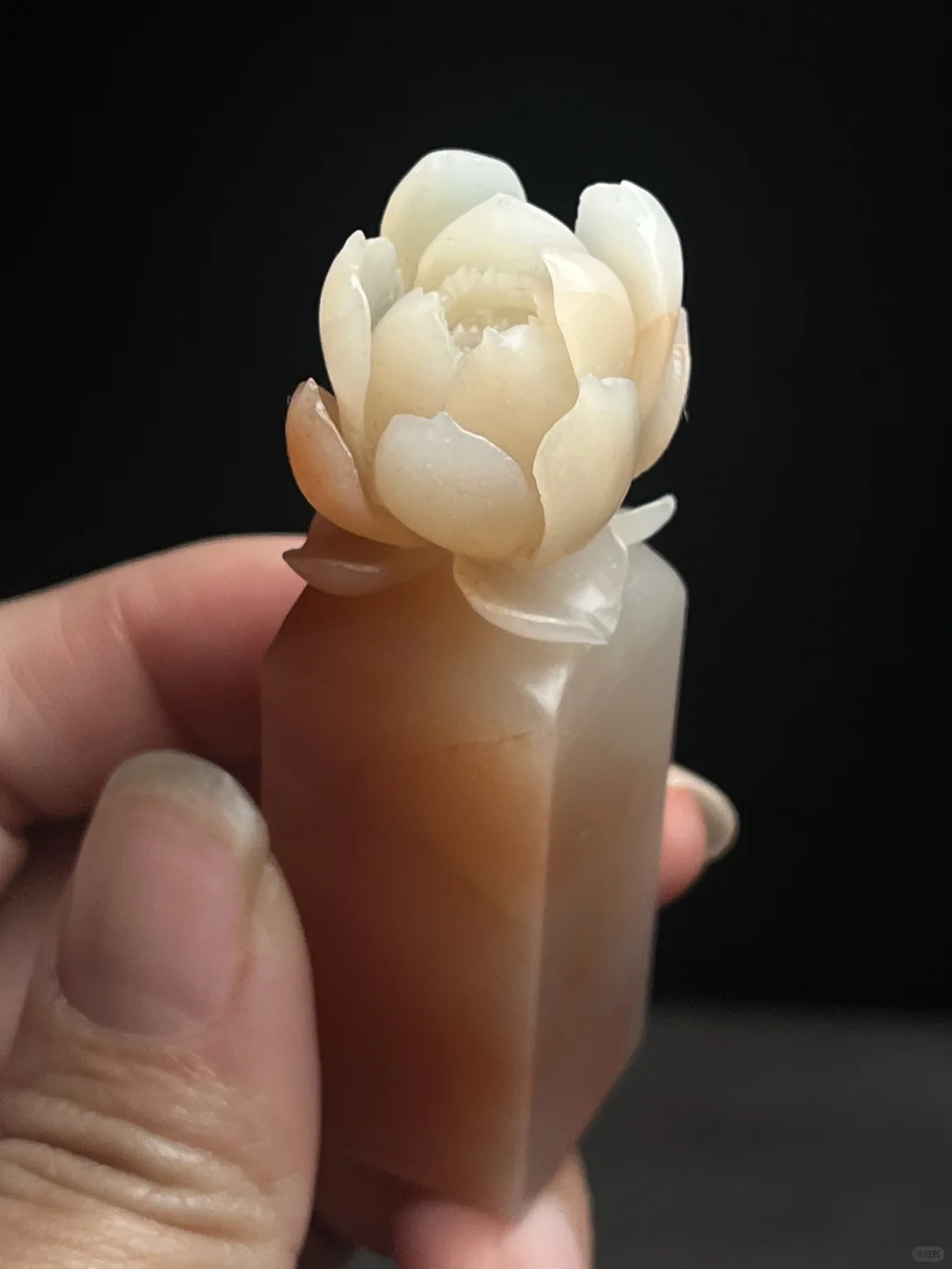手工荷花谁爱了