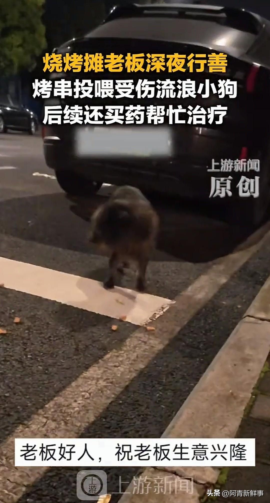 烧烤摊老板投喂受伤流浪小狗还买药烧烤摊老板对流浪小狗的“投喂+买药”，不只是一次