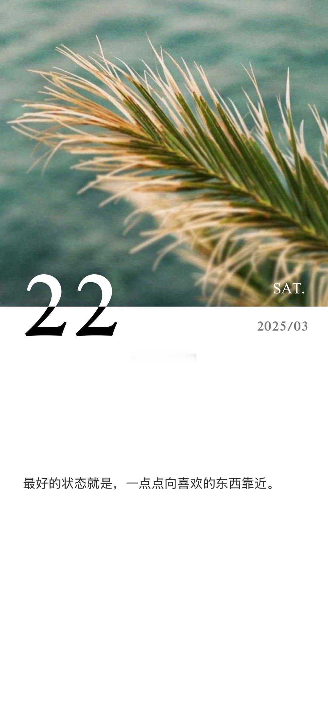 2025年3月22日玄学指南 | 心定则福至今日卦象“离为火”，能量如火焰般升腾