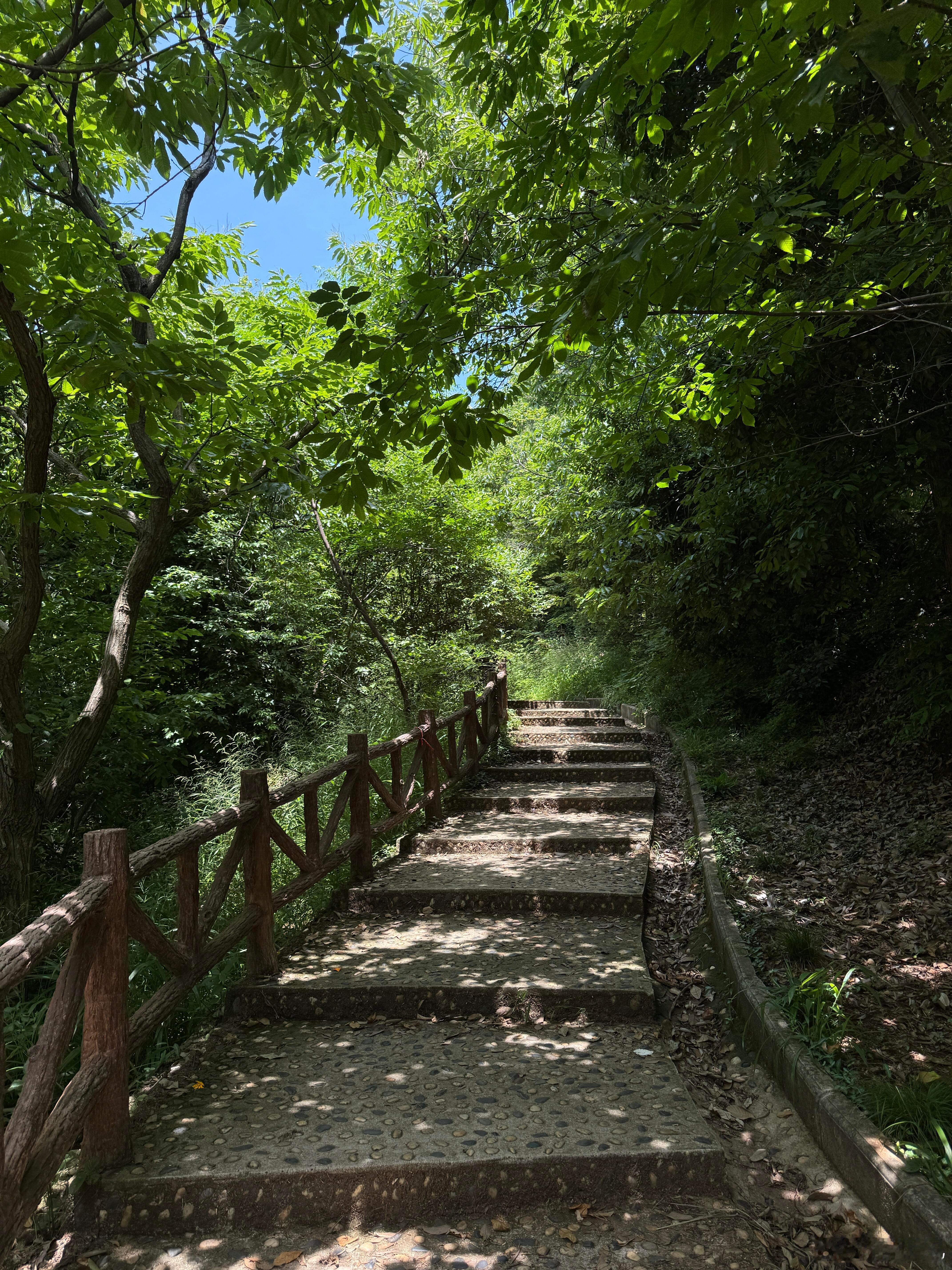 来山里吸氧🍃步行十公里的一天。 ​​​