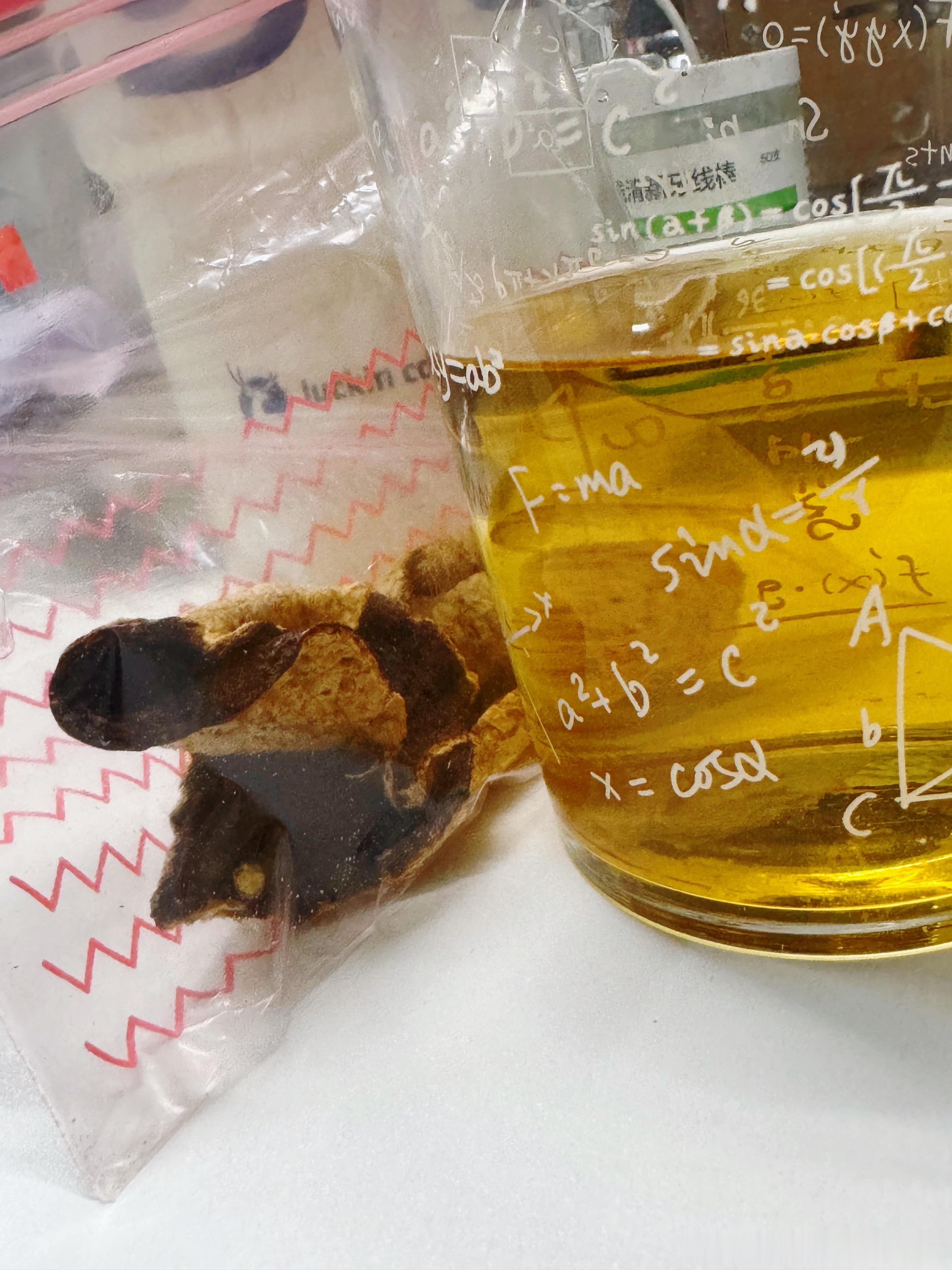 加长版三伏天要来了明天就要入伏啦！ 三伏天趁机祛湿减重 抓紧行动先从戒断小冰水开