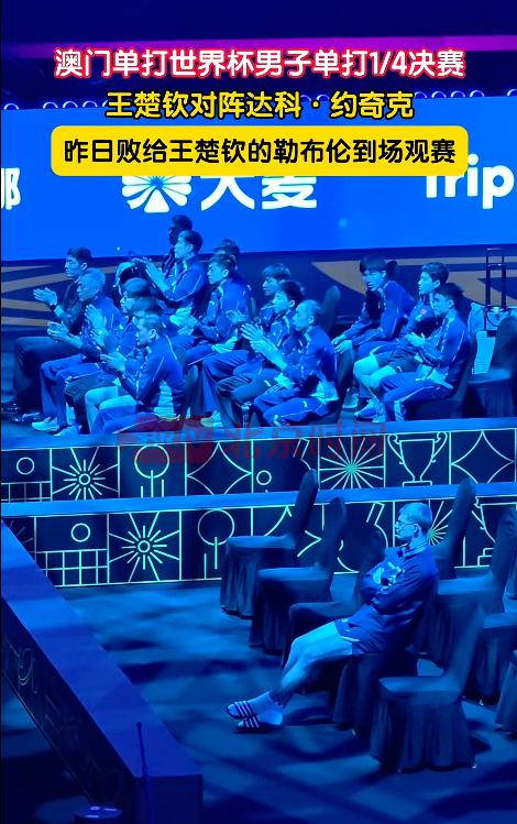 小布是真的热爱乒乓球，太能学习钻研了！

昨天刚输给王楚钦，今晚王楚钦和达科比赛