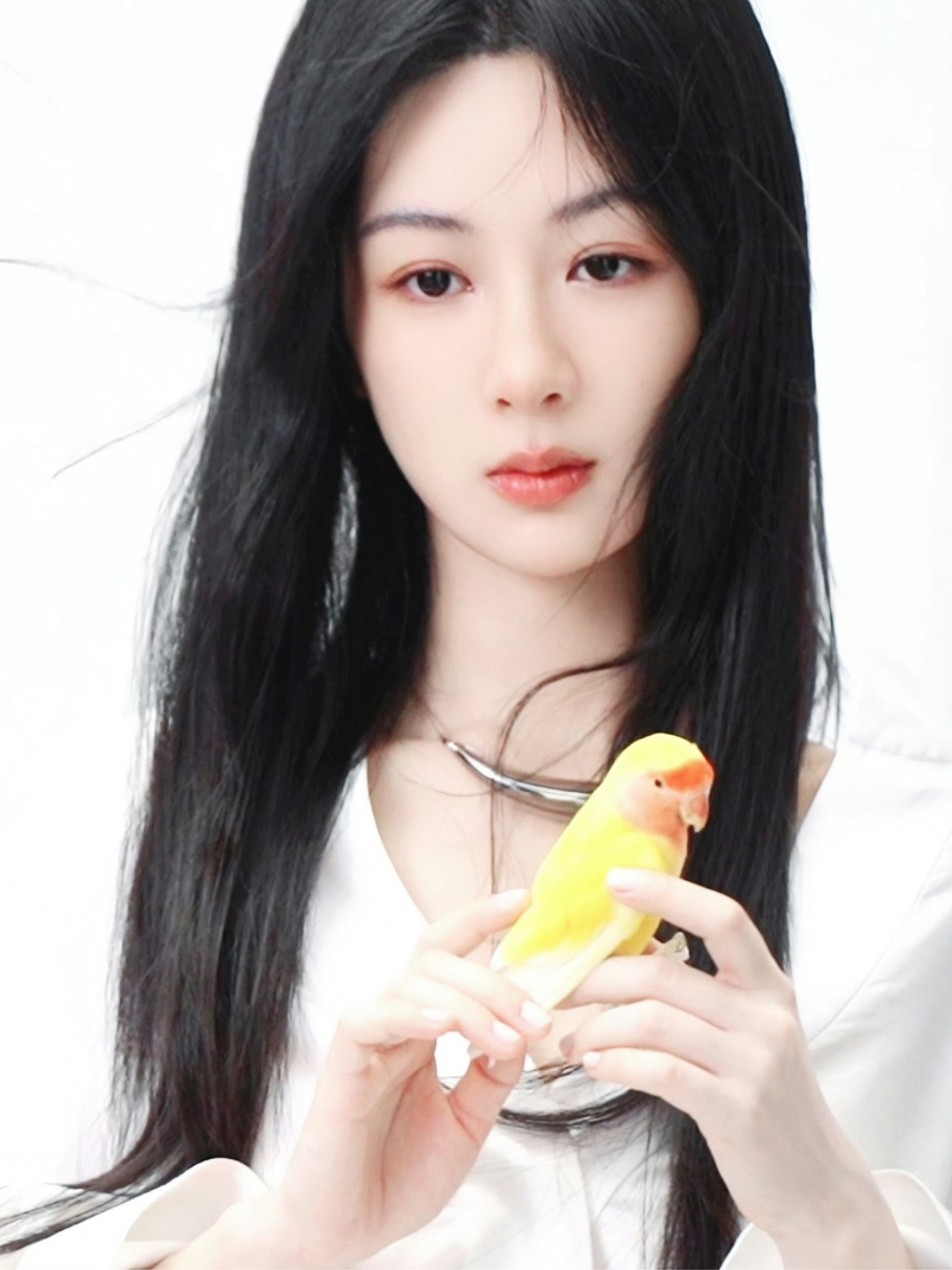 #贾玲电影邀约杨紫二话没说答应了#期待演员杨紫和玲姐的合作。期待杨紫在大荧幕上的