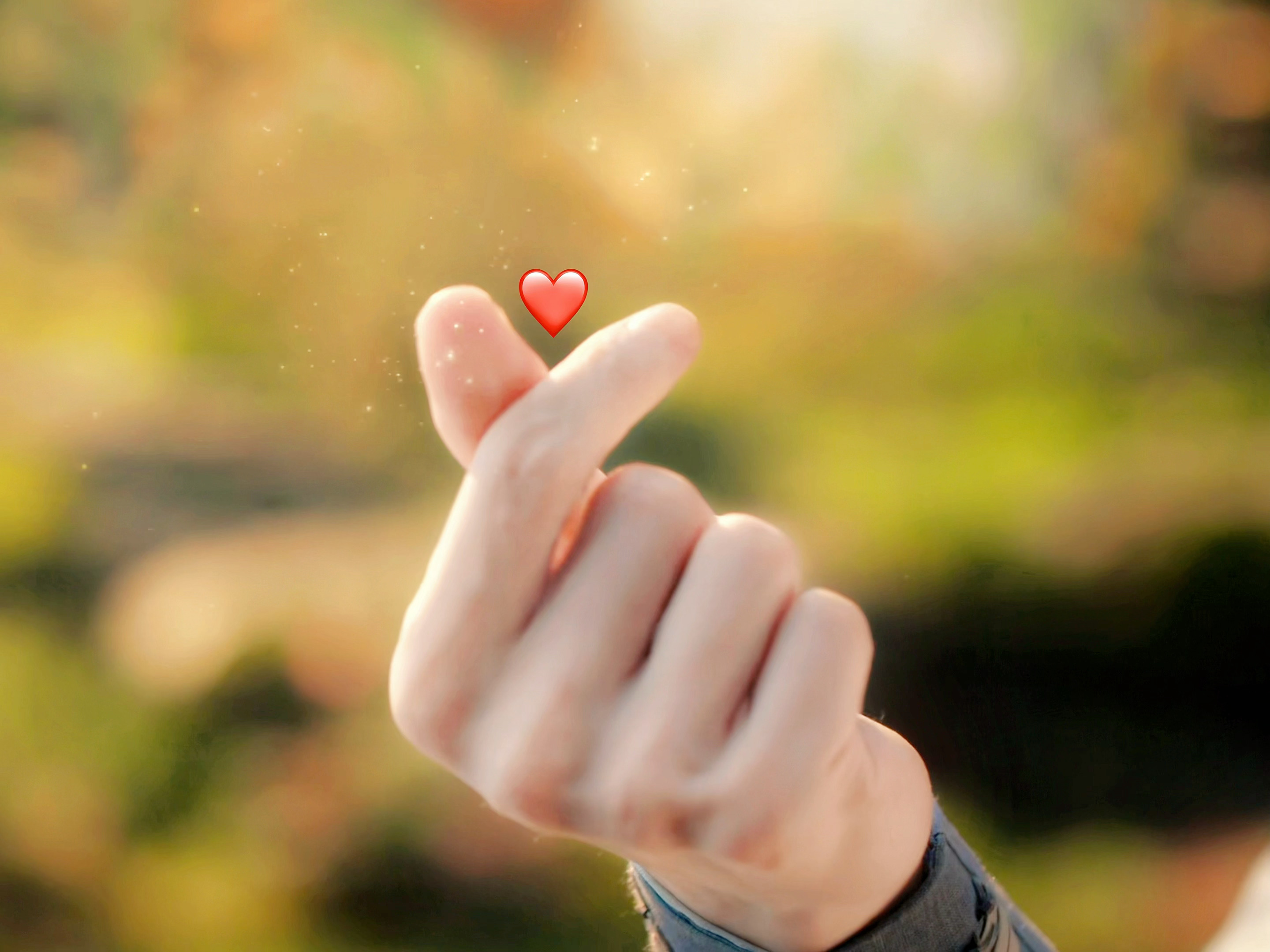 长寿向你发来早安问候❤️ ​​​
