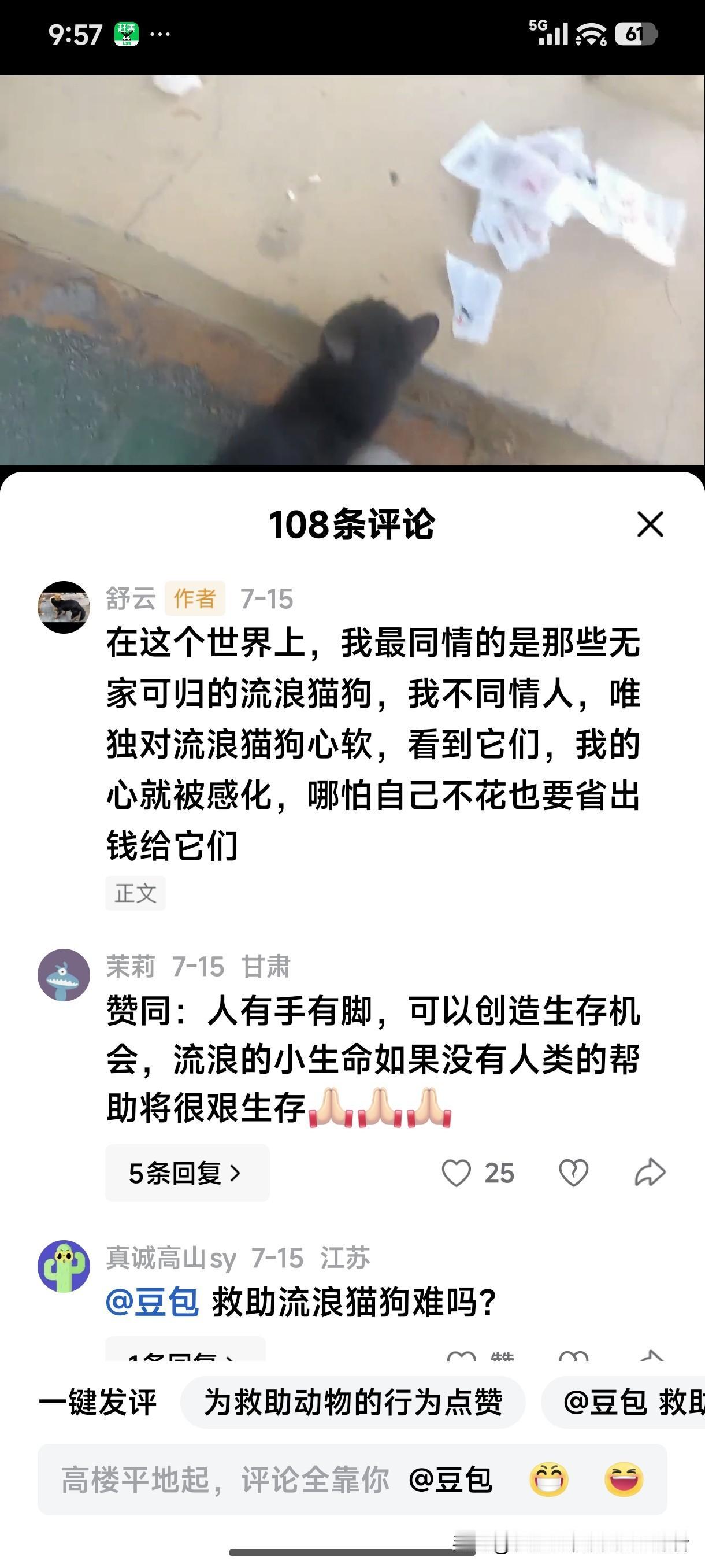 一个人不同情人，唯独对流浪狗、猫心软，可怜流浪猫狗，同情流浪狗猫，宁可自己省吃俭