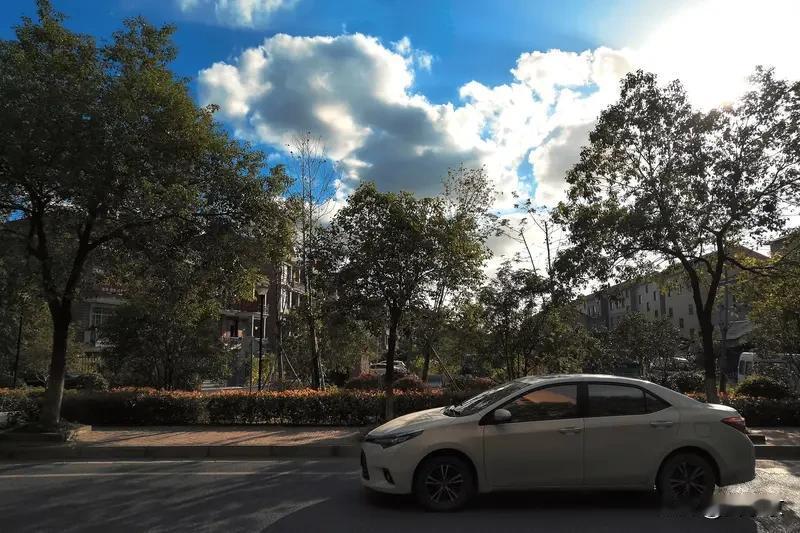 不想卷，不想忙，就想在太阳底下坐着发发呆。
 
看看路边开得热闹的花，吹吹不冷不