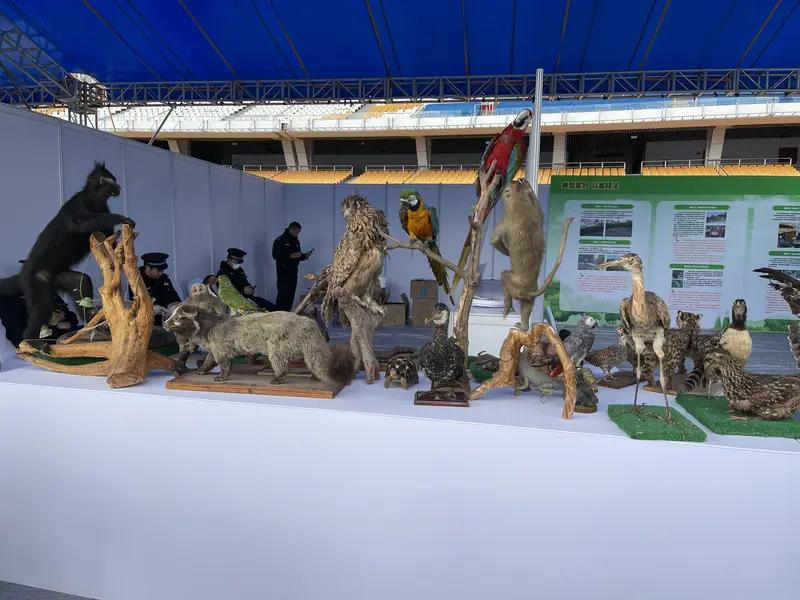 2026年1月9日绵阳公安的“向人民报告”新闻通气会太给力了！2025年他们侦破