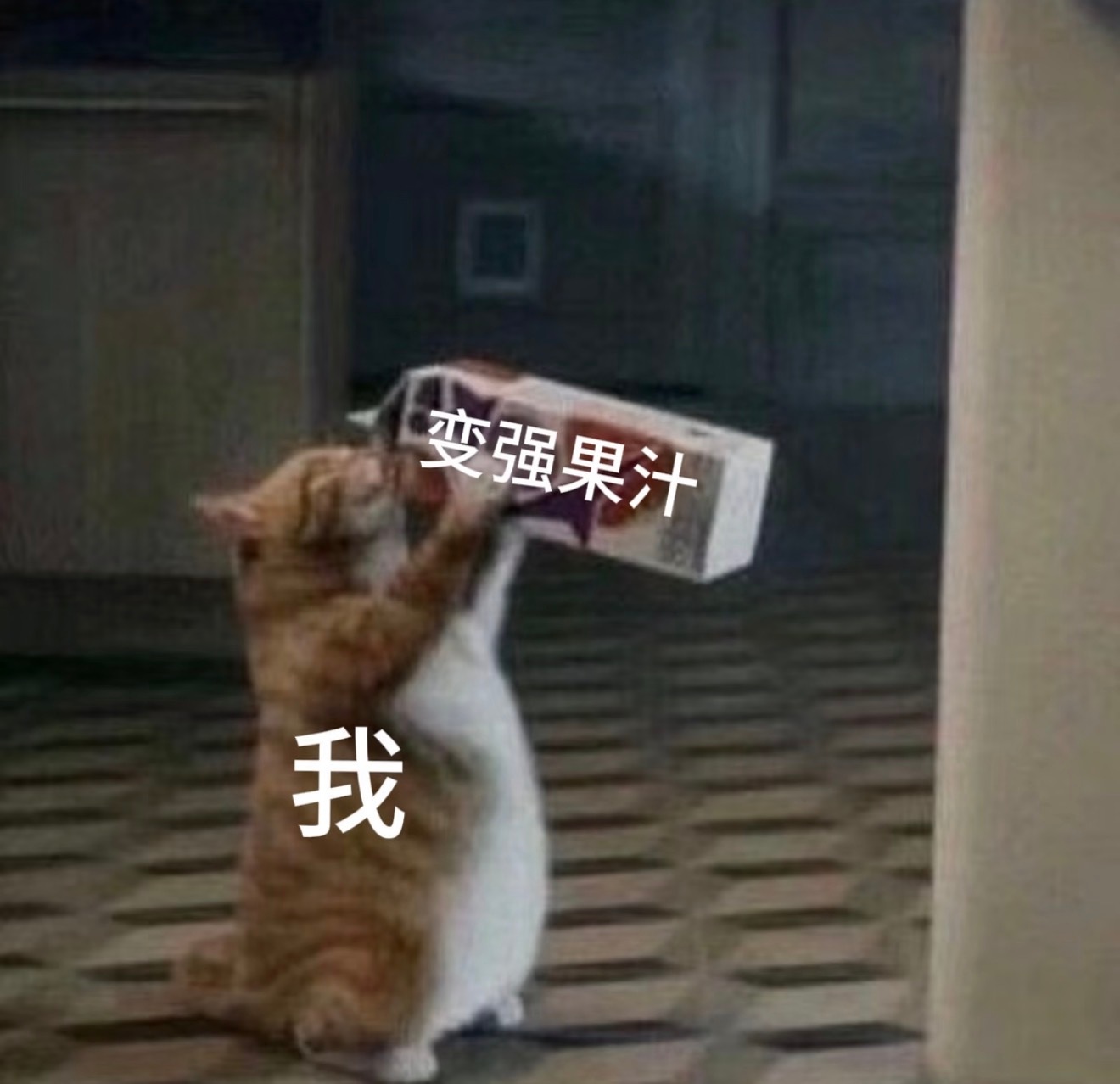 泰国榴莲正在疯狂涌入蹲一个榴莲自由什么时候把价格打下来