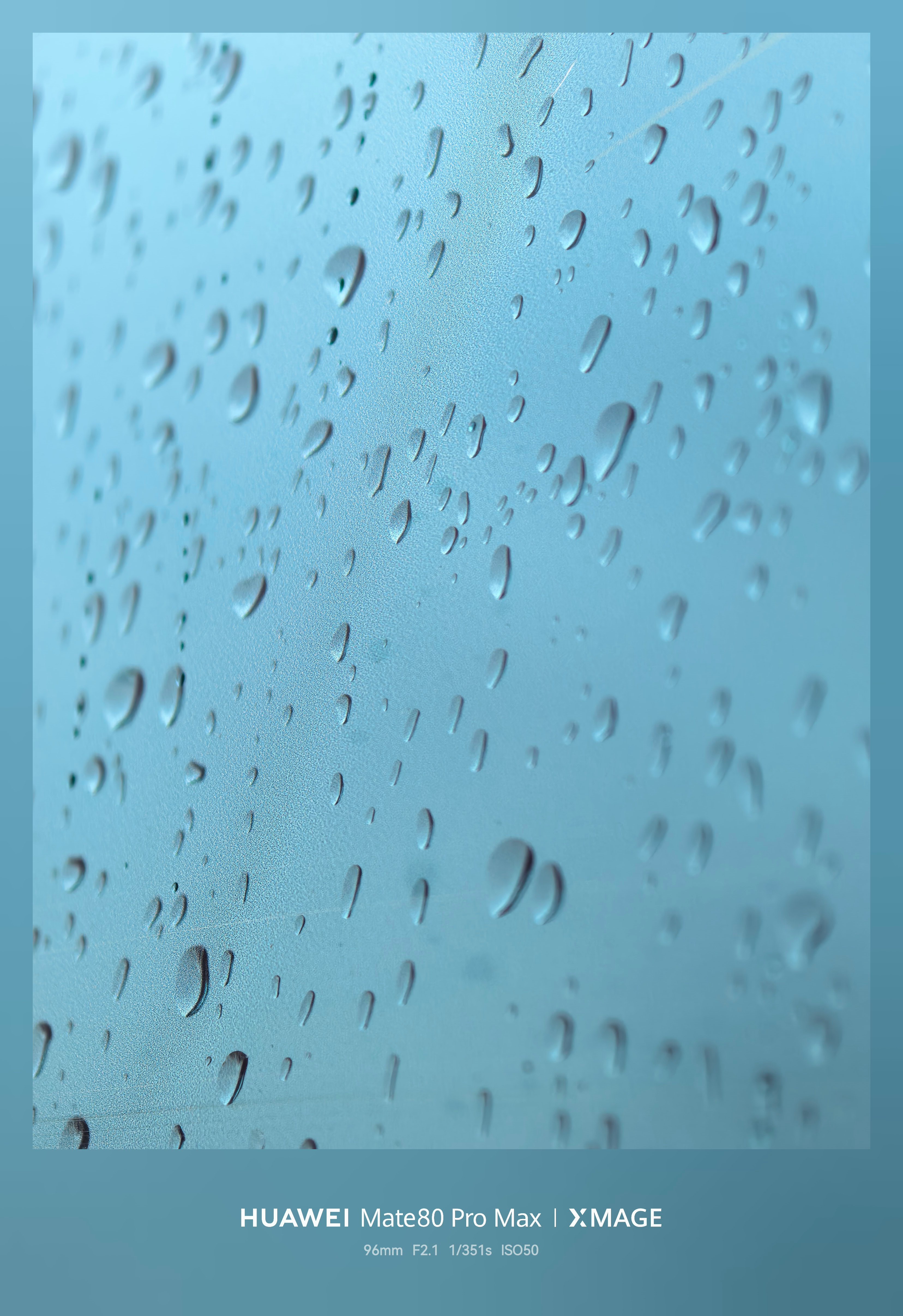 一场大雨过后，一切清新