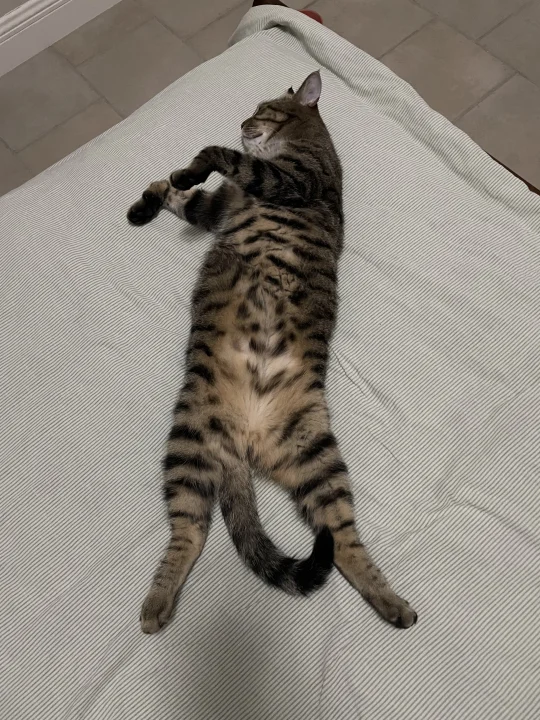 松弛感睡姿