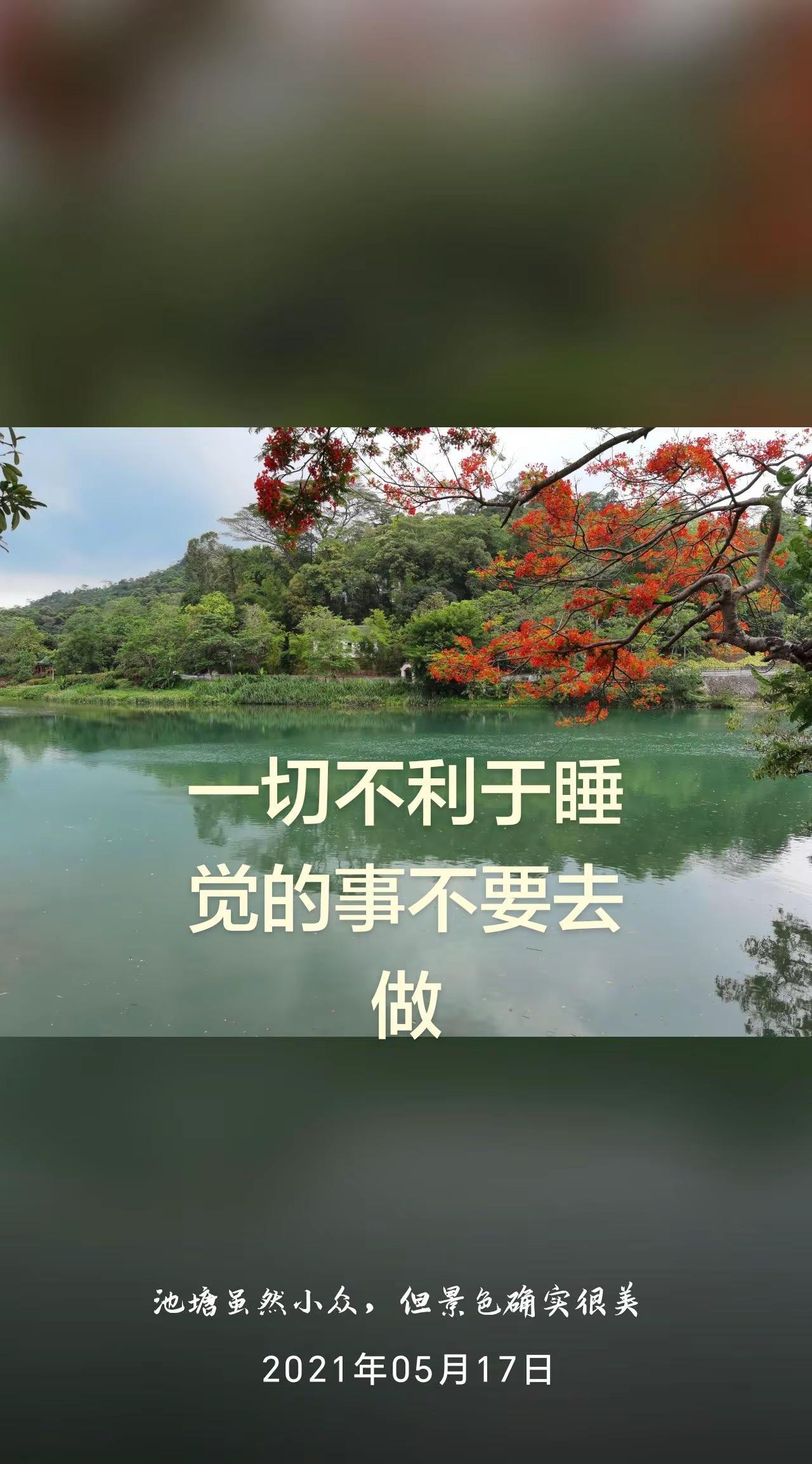自然风光手机随拍