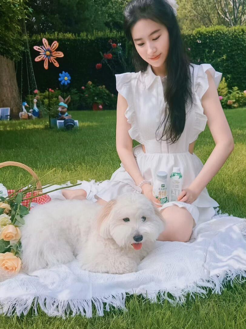 刘亦菲家的后院网友深挖刘亦菲广告幕后取景地，意外发现多处出圈镜头都来自她的私人后