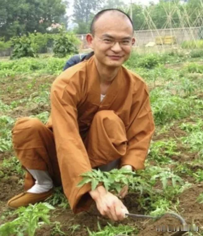 2008年，80后清华博士抛下大好前途，执意出家当和尚，父母下跪都无法令他动容，