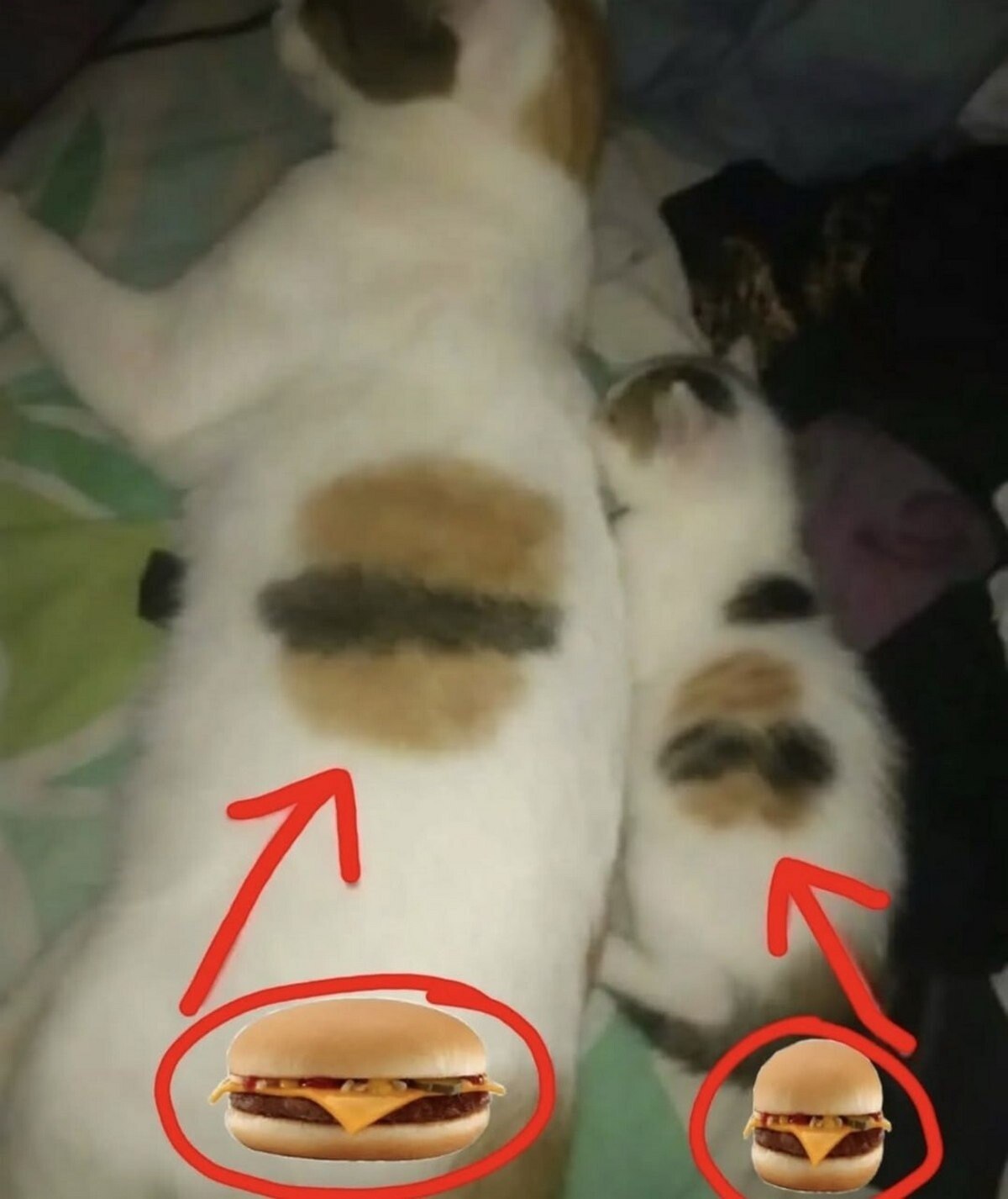 🍔 