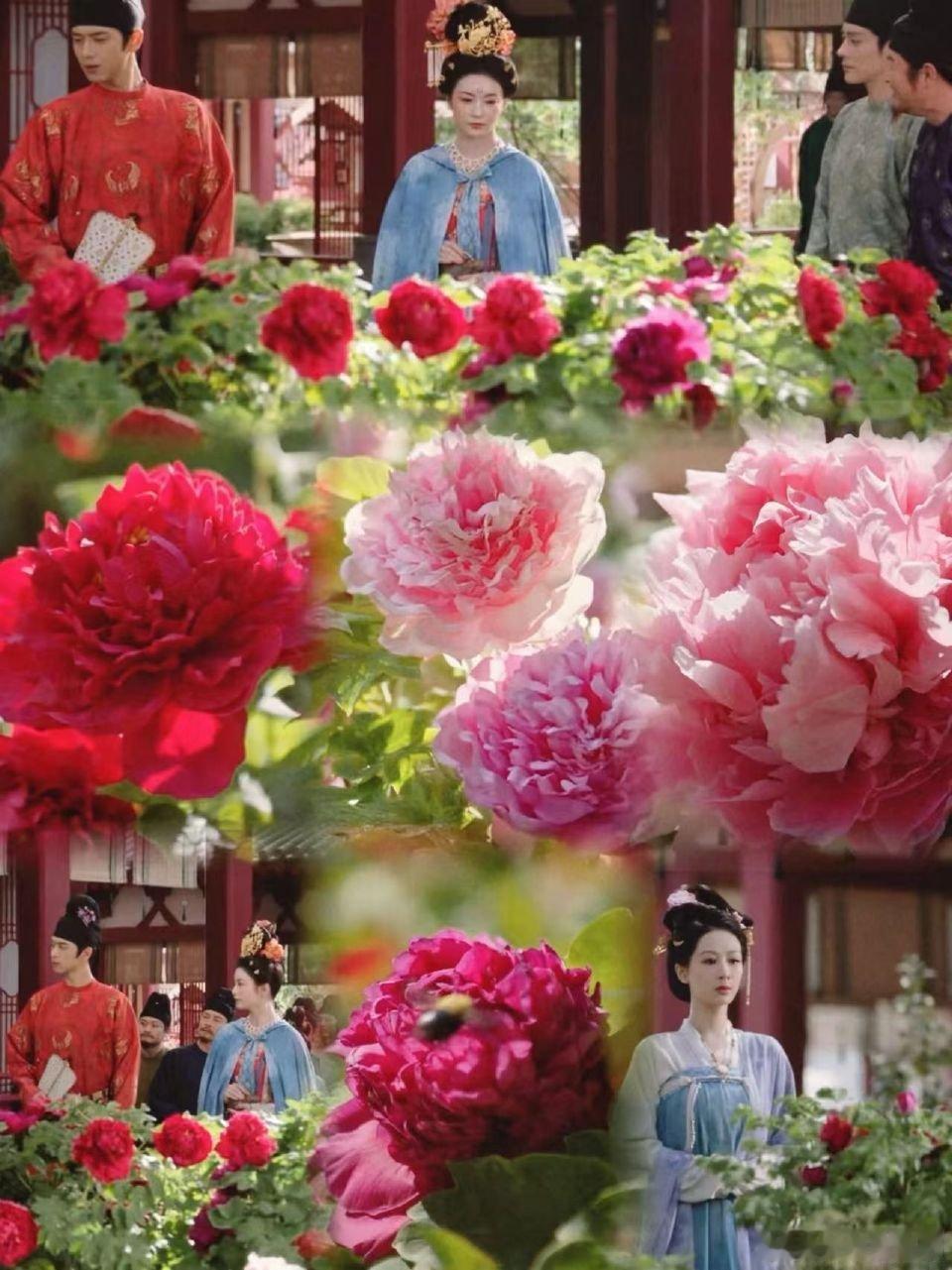 10金4官方认证的带爆能力，从文创卖到鲜切花，连花农都跟着赚翻 