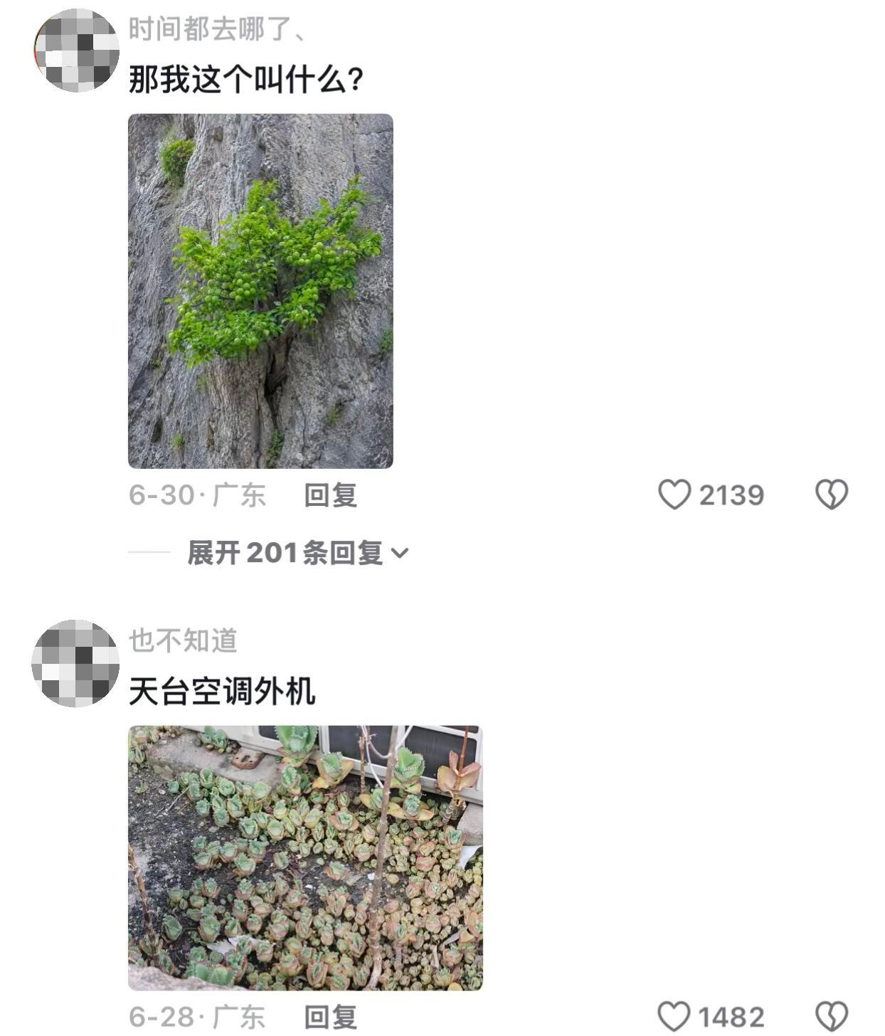 生命总会在你意料不到的地方绽放。 