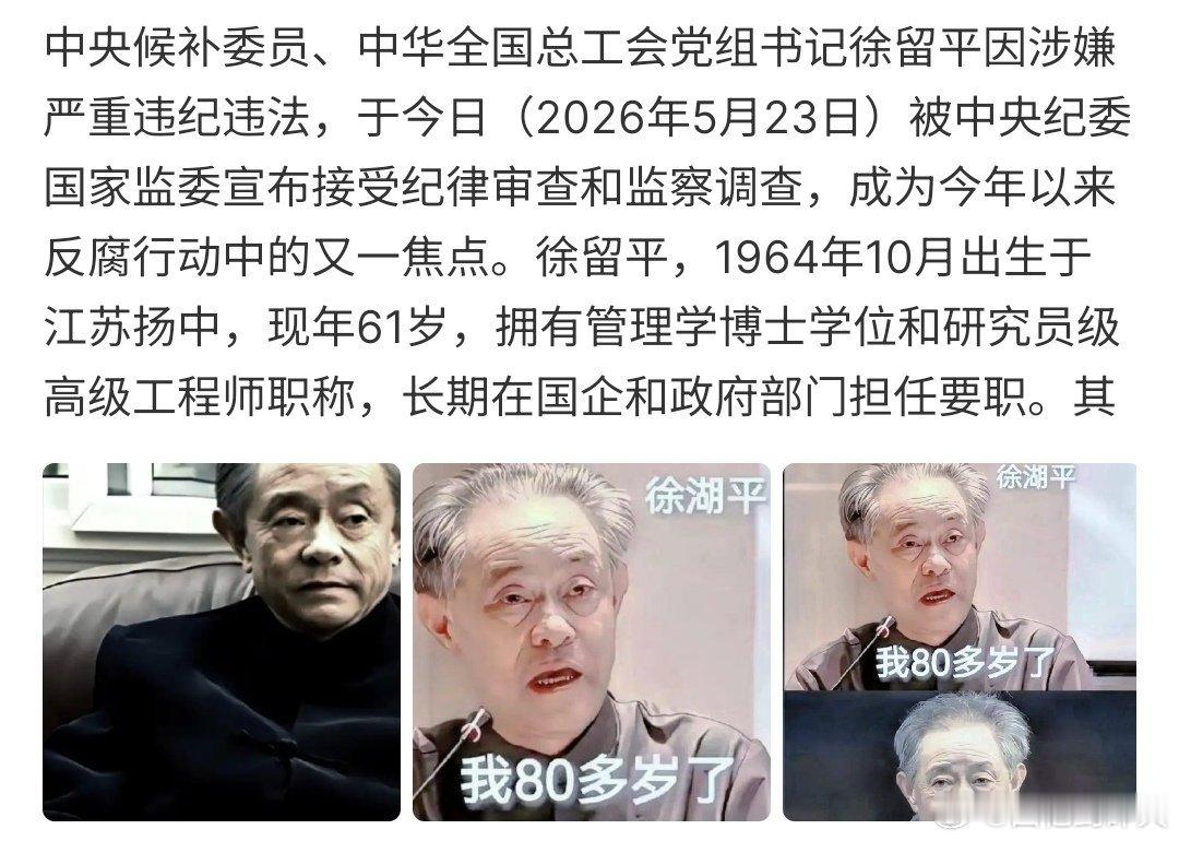 徐留平涉嫌严重违纪违法徐留平严重违纪违法，目前中央纪委正在对他进行纪律审查和监察