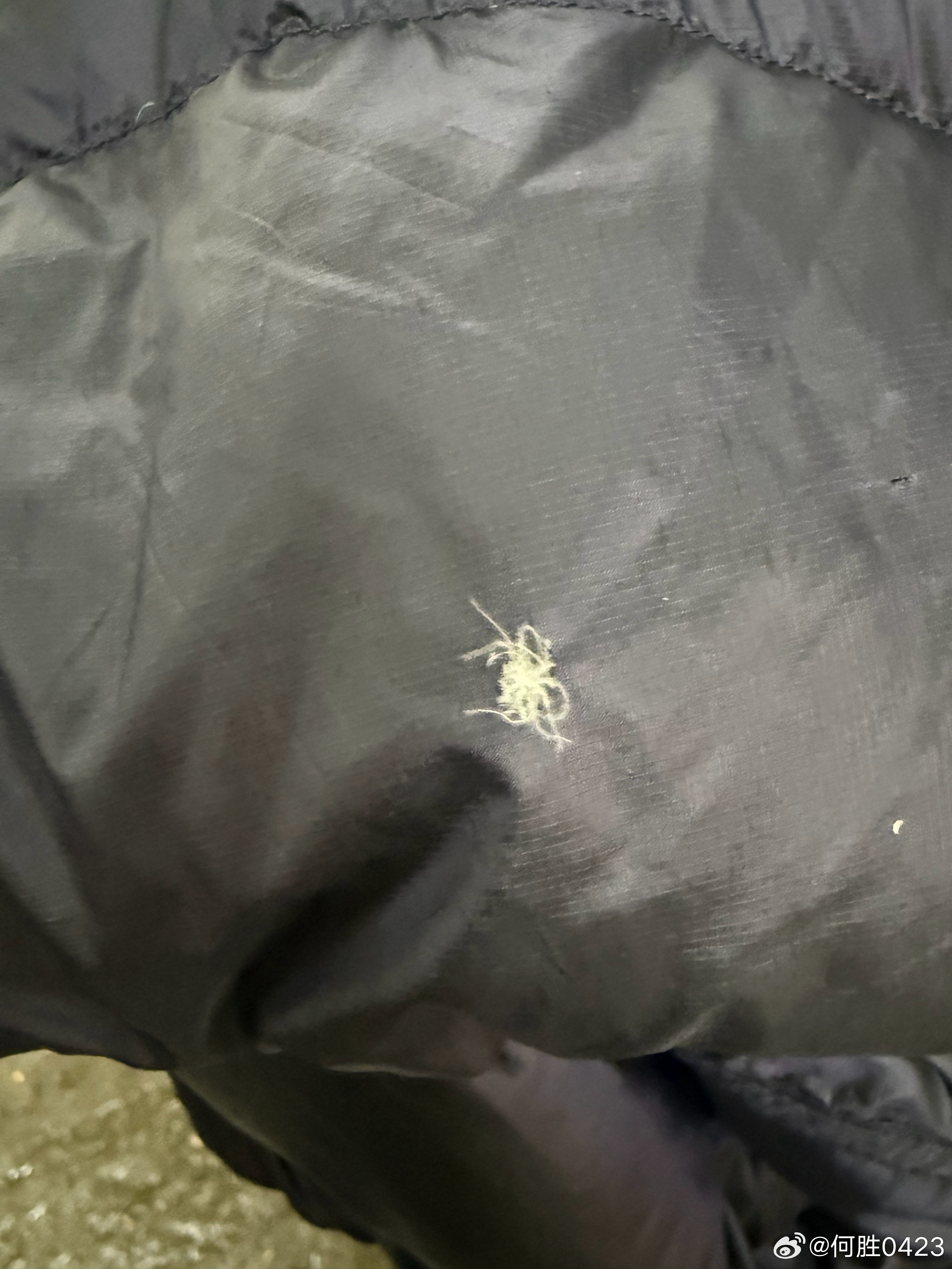 羽绒服烂了个洞，是你们估计早扔了，花了两元钱，补了个疤疤，新三年，旧三年，缝缝补