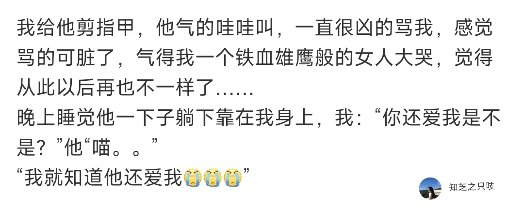 承认了，我就是个恋爱脑