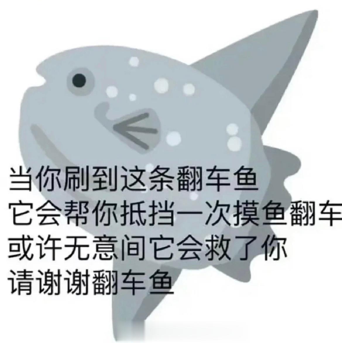 全都是玄学，你只管说谢谢就好了 ​​​