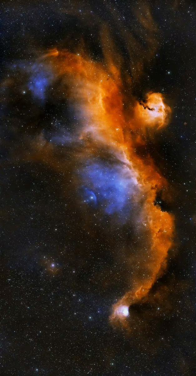 #每天一天文图# 海鸥星云 ​​​