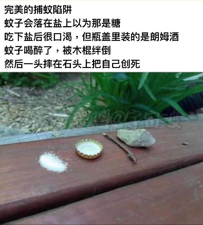 被这灭蚊大法惊艳到了 