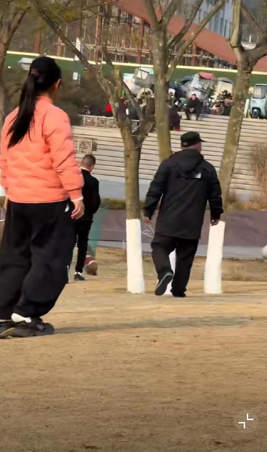 公园遛狗不牵绳，直接被套走了！狗主人跟在后面一脸懵逼。。。[酷拽]未牵绳狗伤人 