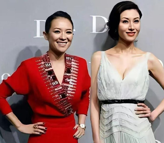 章子怡，李嘉欣，章子怡虽然没李嘉欣浓颜，但是她脸小啊 