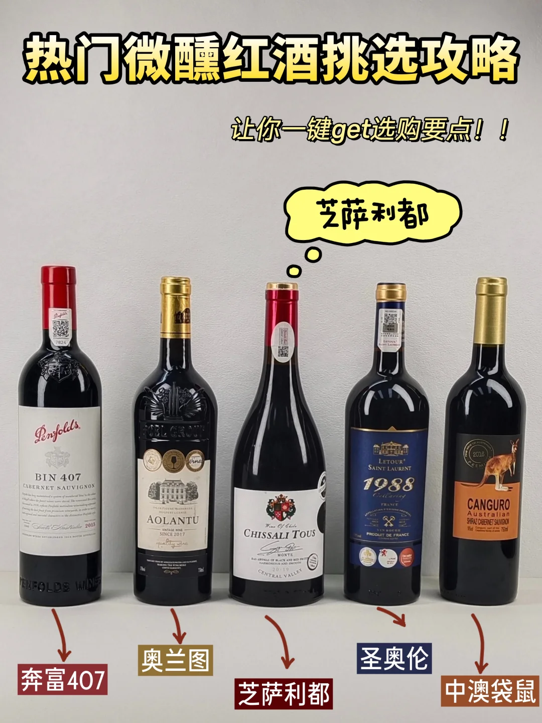 热门微醺红酒挑选攻略！一键get选购要点✨