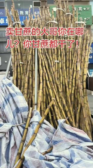 太暖心了，四川，一男子发现，楼下常年摆摊卖甘蔗的大哥从过年之后就没出摊了，路边三