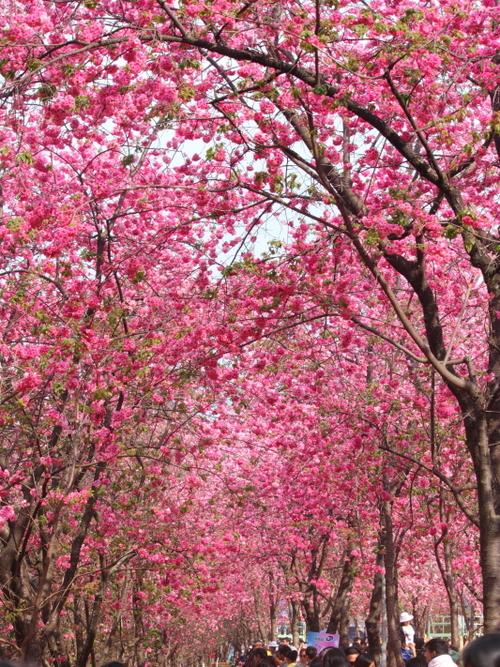 周四盘后传来重磅利好消息，周五是否可以抄底呢？
周四盘后利好消息如下：
据媒体报