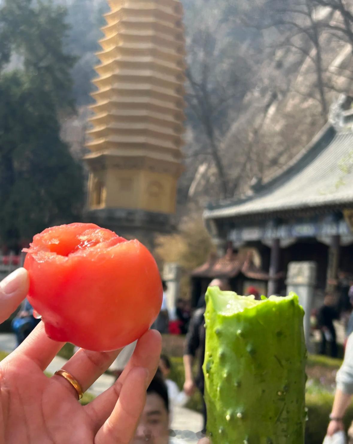 为什么全国景区都有这种水果这难道不是景区标配吗？[吃瓜] ​​​