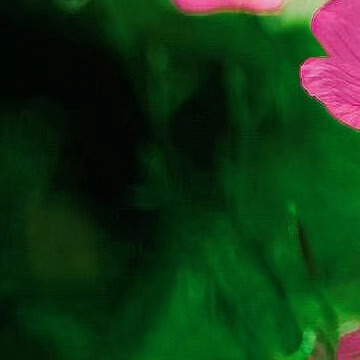 每日一善 💚阳光信用 行善如春园之草，不见其长，日有所增；行恶如磨刀之石，不见